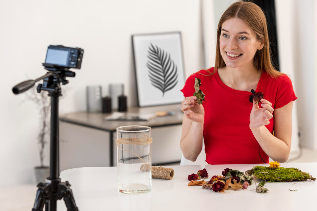 User Experience and Interface of Flixmomo