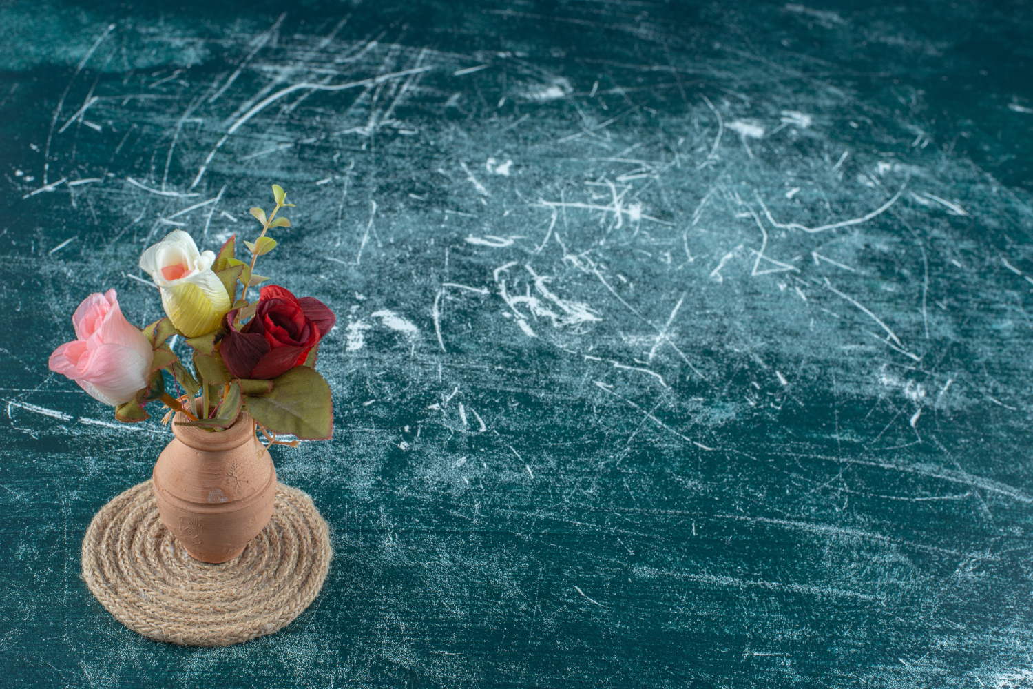 Background of Robert Saleh Wife