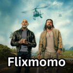 Flixmomo: The Ultimate Guide to Everything You Need to Know About This Streaming Platform