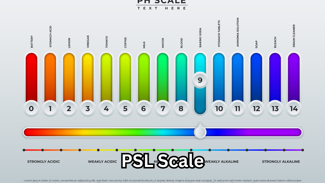 PSL Scale