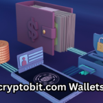 ecryptobit.com Wallets: A Complete Guide to Secure, Smart, and Seamless Crypto Storage